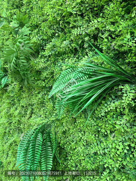 綠植墻