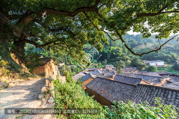 松陽(yáng)三都楊家堂古建筑風(fēng)光
