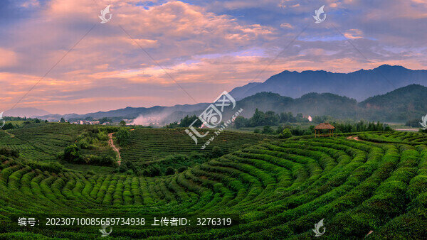 建德下涯茶園晚霞風(fēng)光全景