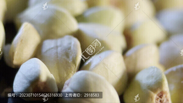 黑場(chǎng)旋轉(zhuǎn)蕎麥雜糧