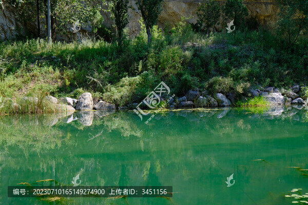 綠湖
