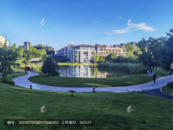 公園林蔭小道