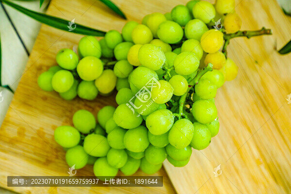青葡萄