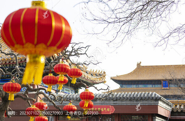 神武門紅燈籠