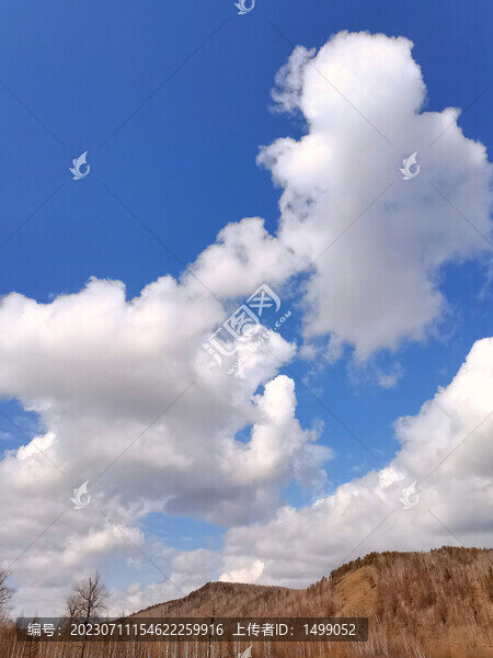 早春的天空