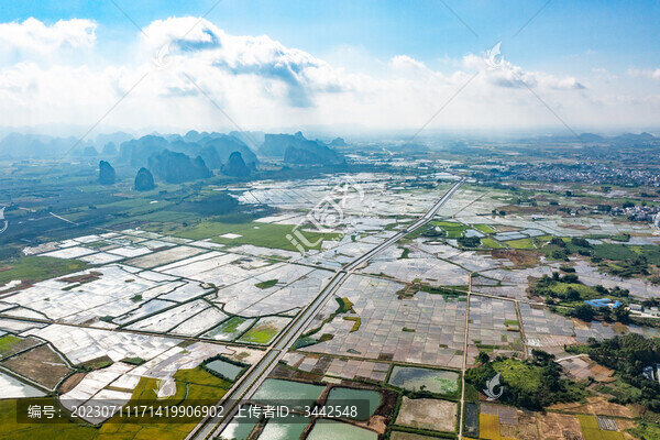 上林縣萬畝垌水稻基地