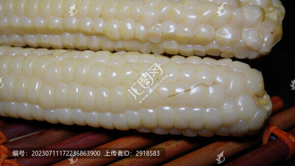 糯玉米兒童玉米小玉米拇指玉米