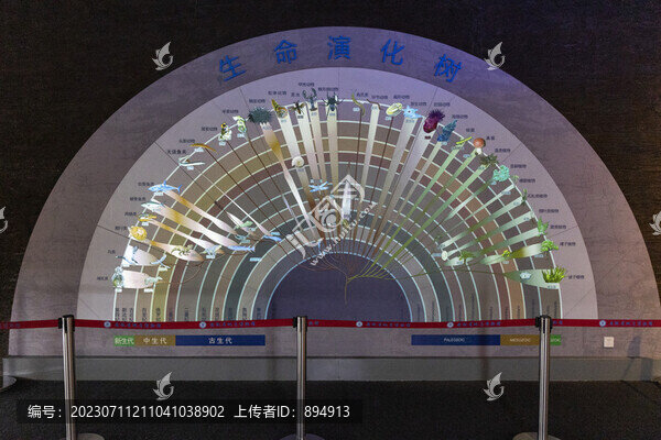生命演化樹(shù)