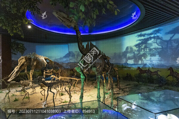 安徽地質(zhì)博物館