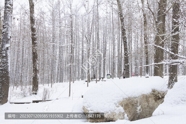 長(zhǎng)春冬季雪景