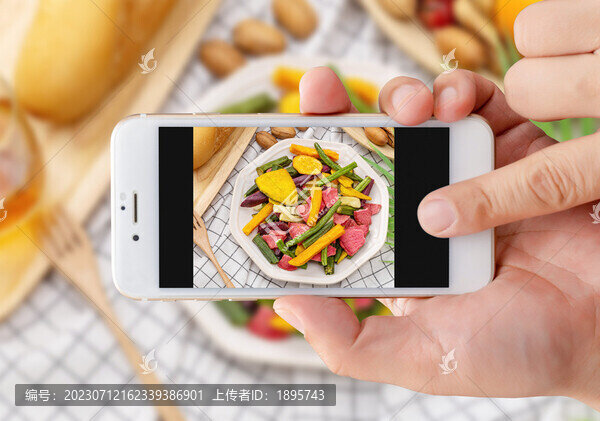 手拿手機(jī)拍美食