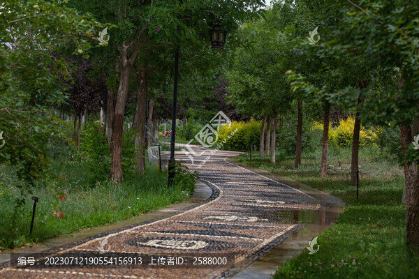 公園小路