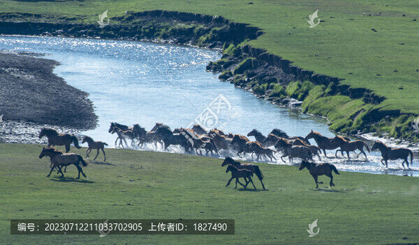 馬過(guò)河