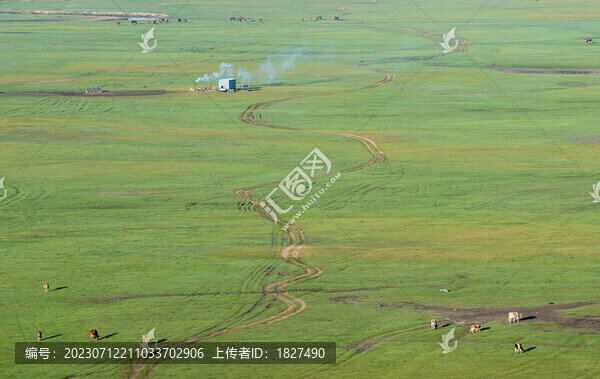 草原上的馬兒