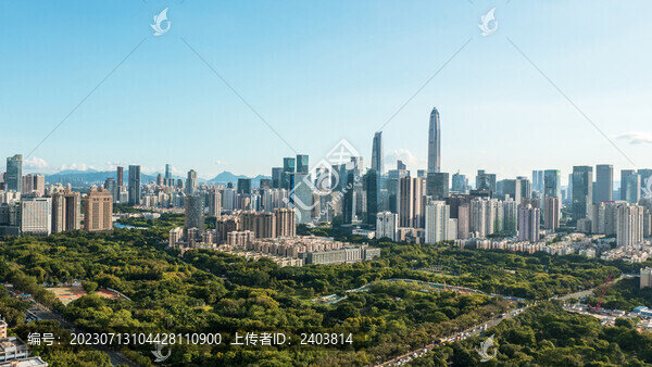 森林城市深圳高樓建筑