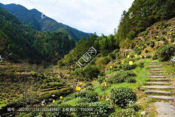 江西山道