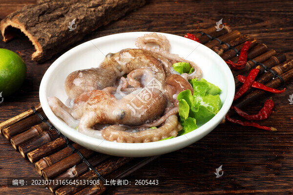 八爪魚