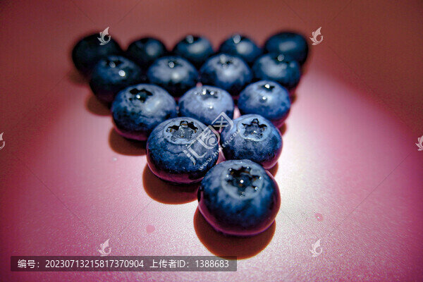 藍(lán)莓鮮果