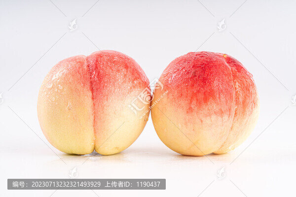 久保桃