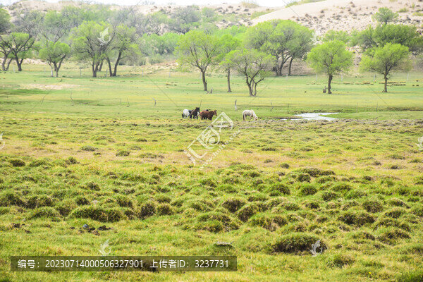 內(nèi)蒙古錫林郭勒草原風(fēng)光
