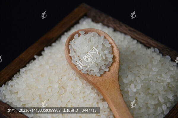 東北小粒香米