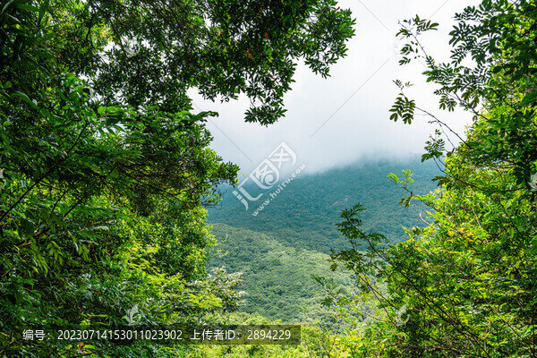 大華興寺登山道風(fēng)景