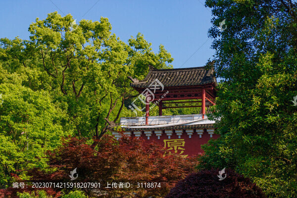 湖南省岳陽(yáng)市君山島愛(ài)情園