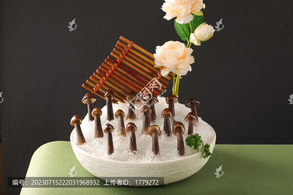 雞樅菌
