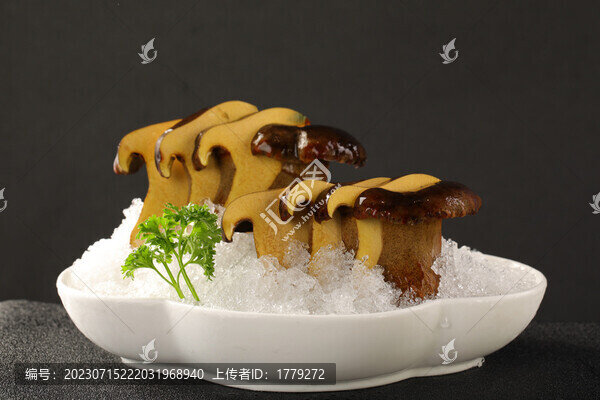 牛肝菌