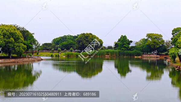 湖中景色
