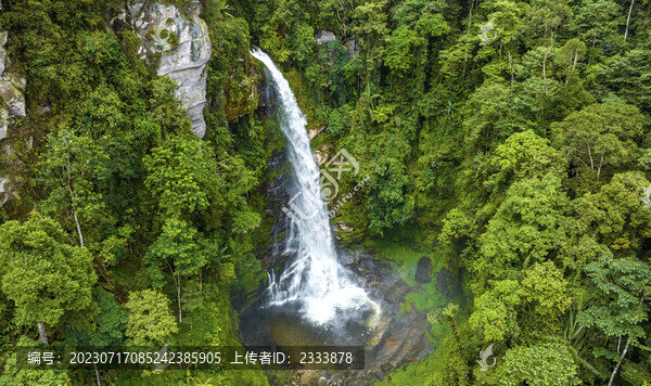 金平旅游