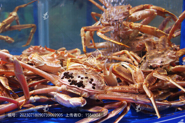 板蟹