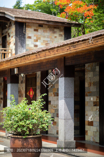 庭院