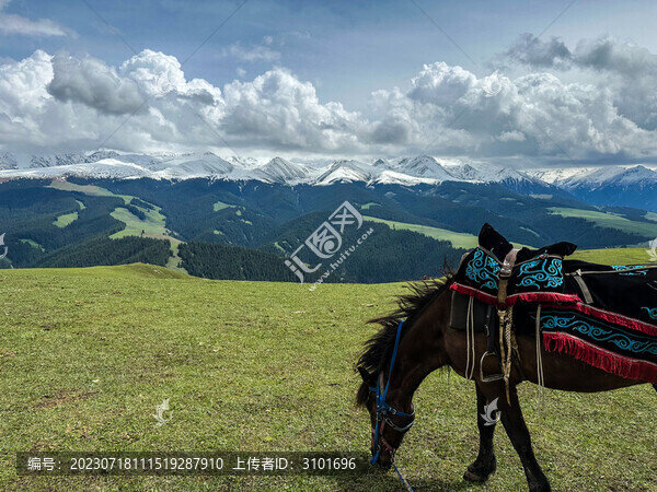 草原峽谷駿馬圖