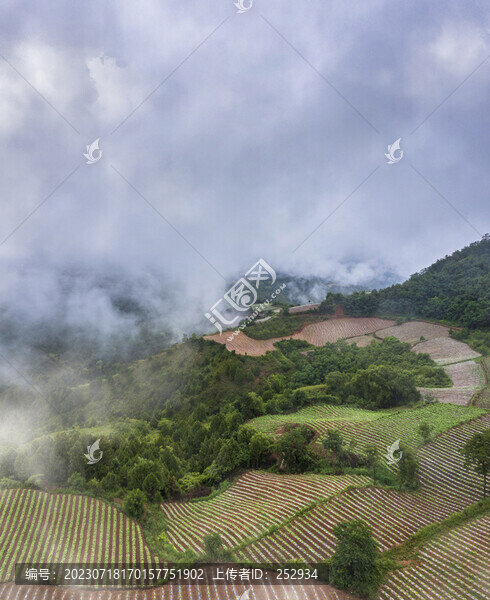 田園風(fēng)景