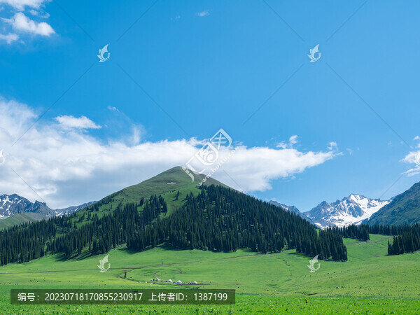獨(dú)庫(kù)那拉提草原溪流