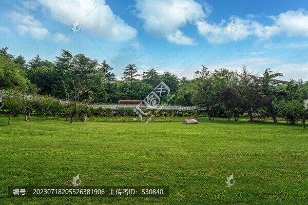 藍天白云綠樹林
