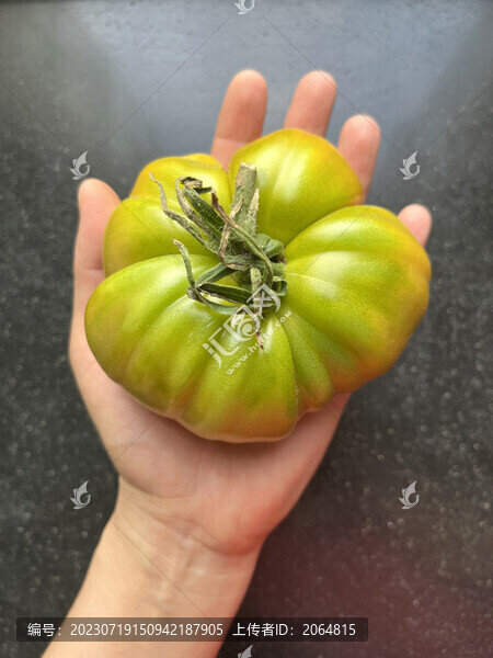 雞尾酒番茄
