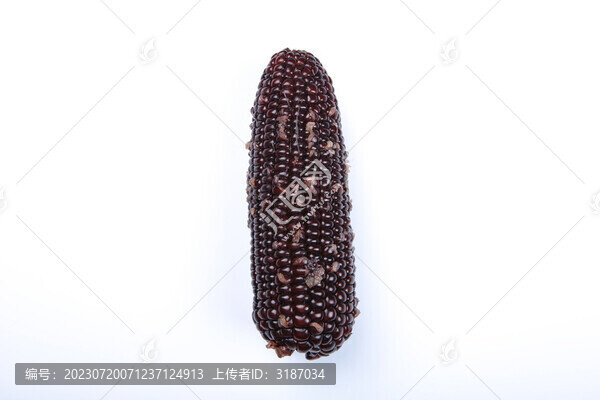 健康的黑玉米