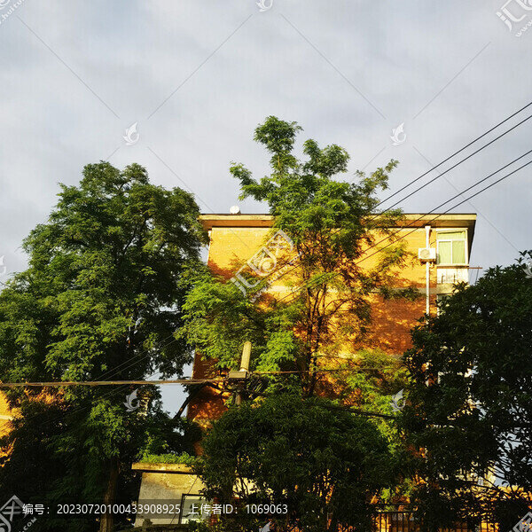 午后建筑