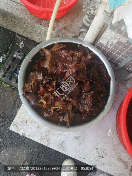木耳