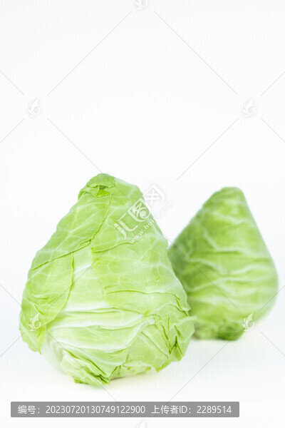 綠色有機(jī)新鮮蔬菜