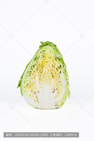 綠色有機新鮮蔬菜