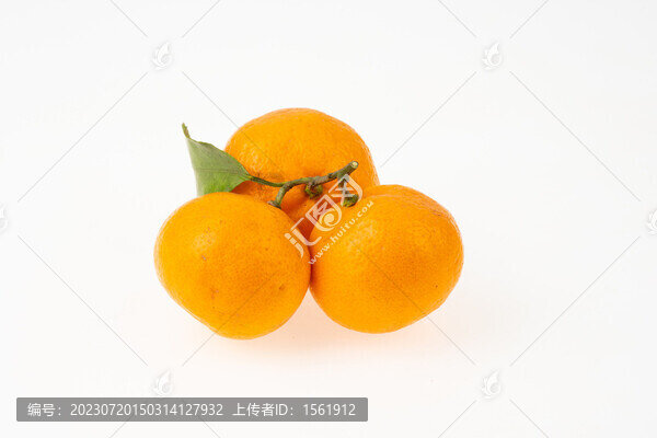 橘子