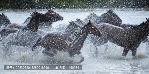 奔馬