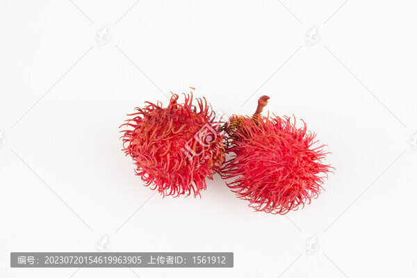 紅毛丹