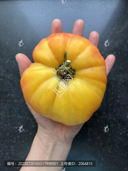 菠蘿番茄