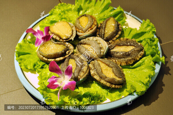 鮑魚(yú)海鮮