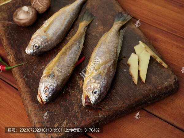 案板上的小黃魚