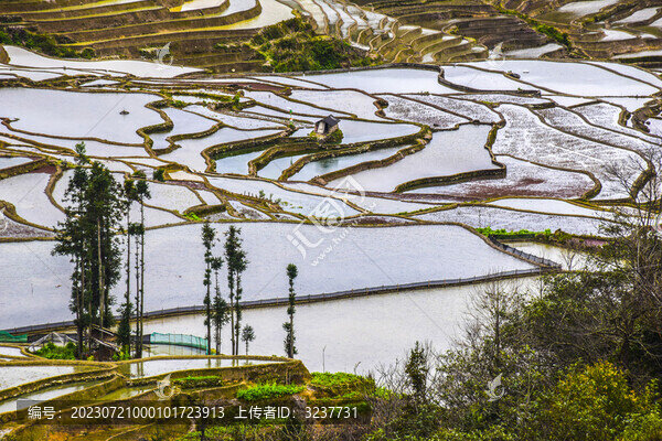 云南元陽梯田風(fēng)光